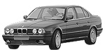 BMW E34 P110D Fault Code
