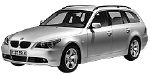 BMW E61 P110D Fault Code